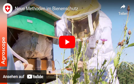 Neue Methoden im Bienenschutz